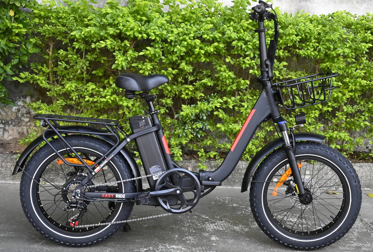 BAOLUJIE DZ-2030 Foldable Fat Electric Bike 20inch | 48v 500w rear